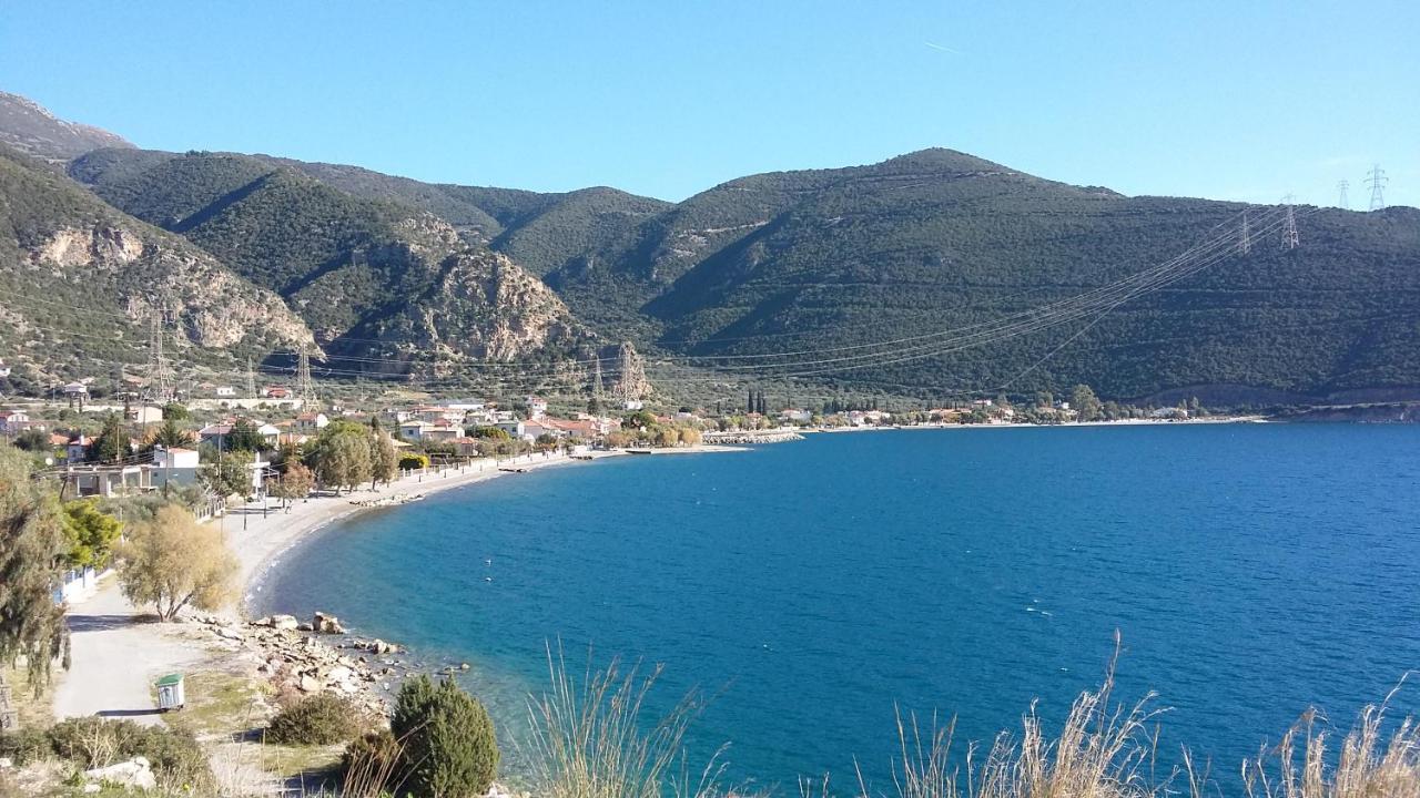 Margherita'S Holidays Home Agios Spyridon  Exteriér fotografie